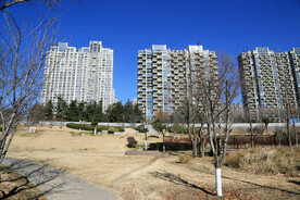 公园旁的住宅建筑