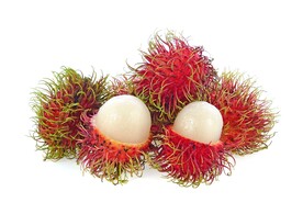 红毛丹