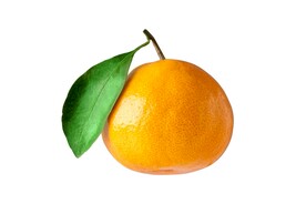 橘子