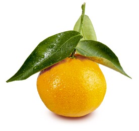 橘子