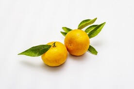 橘子