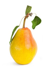 梨