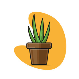 植物 