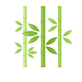 植物  