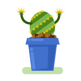 植物 