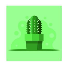 植物 