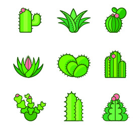 植物 