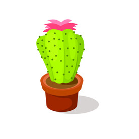 植物 
