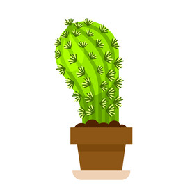 植物 