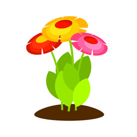 植物  