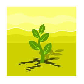 植物  