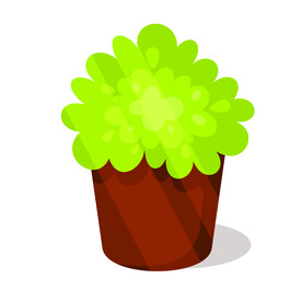 植物  