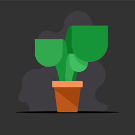 植物 