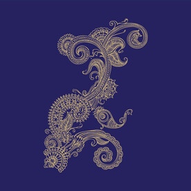 高档花纹 