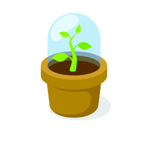 植物 