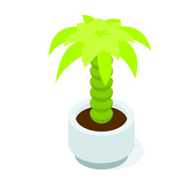 植物 