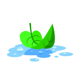 植物 