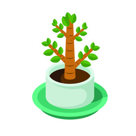 植物 