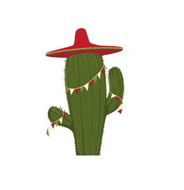 植物 