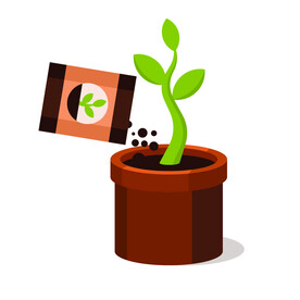 植物  