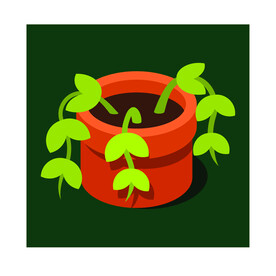 植物 