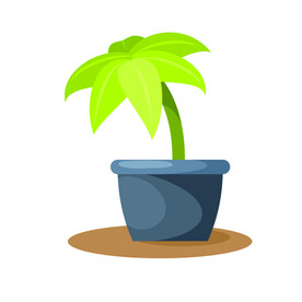 植物  