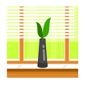 植物 