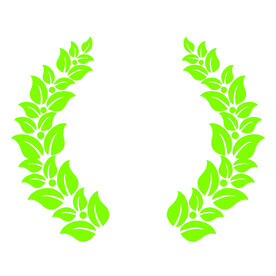 植物 