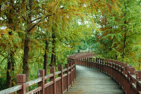 公园风景