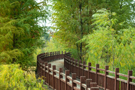 公园风景