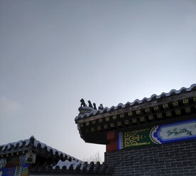 五脊六兽