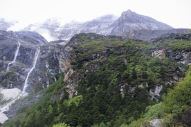 山