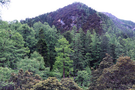 远山