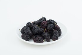 桑椹