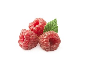 树莓