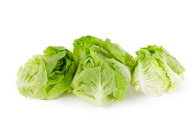 生菜