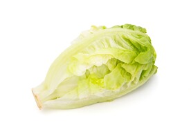 生菜 