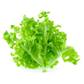 生菜
