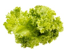生菜