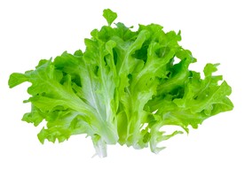 生菜