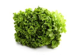生菜