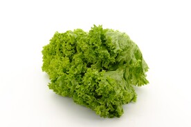 生菜
