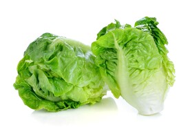 生菜