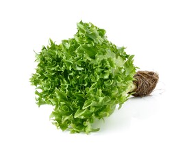 生菜