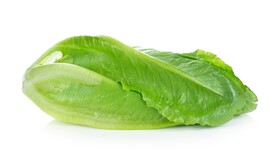 生菜