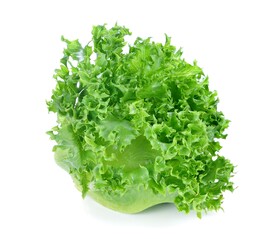生菜