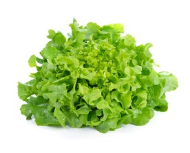 生菜 