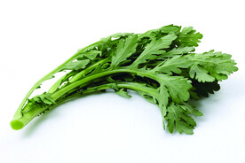茼蒿