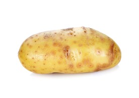 土豆