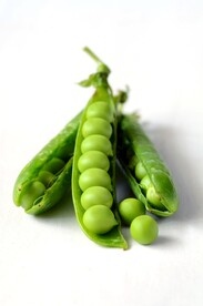 豌豆